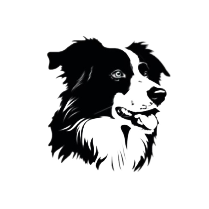 Collies Wealth Partnerships logo